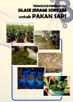 pakan sapi Silase Sorgum